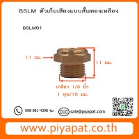 BSLM01 รูปโชว์1